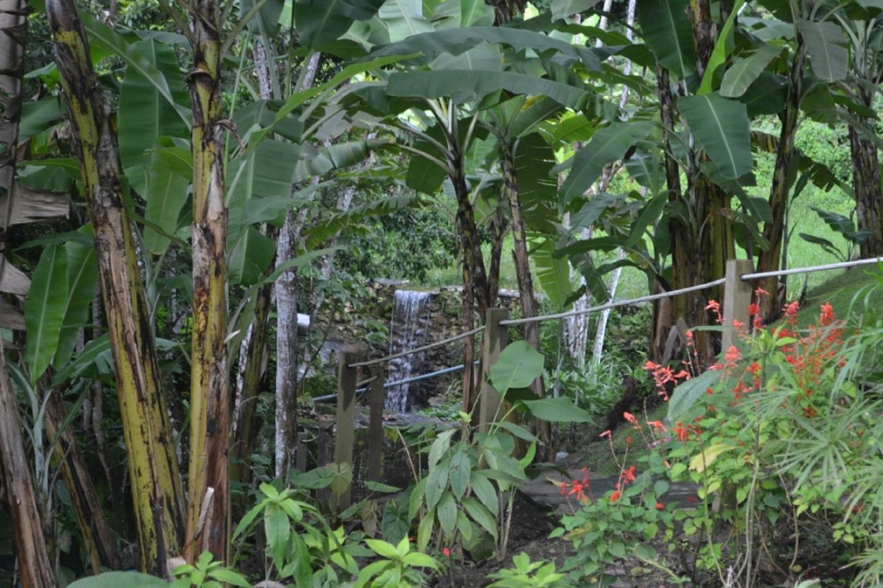 Sitio Alto Da Montanha - Voce Em Paz Com A Natureza Villa Pacoti Exterior photo